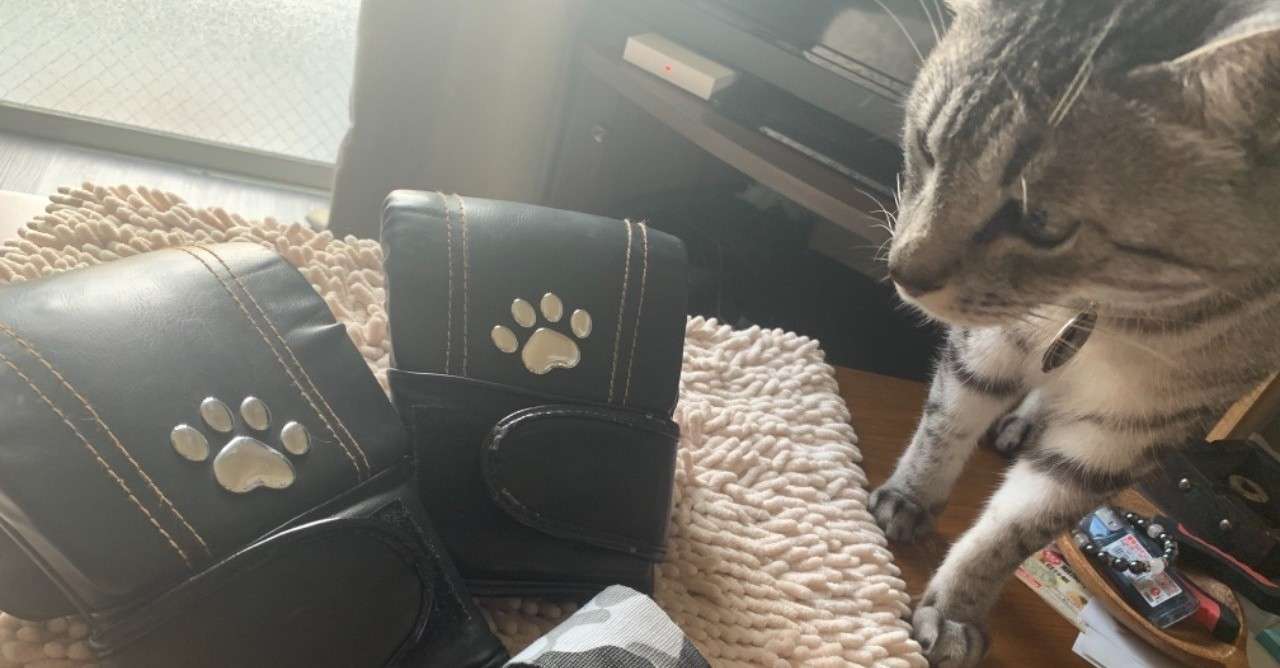 格闘技 ダイエットでなくあくまでシェイプアップです 6 Motoko Nagi Note