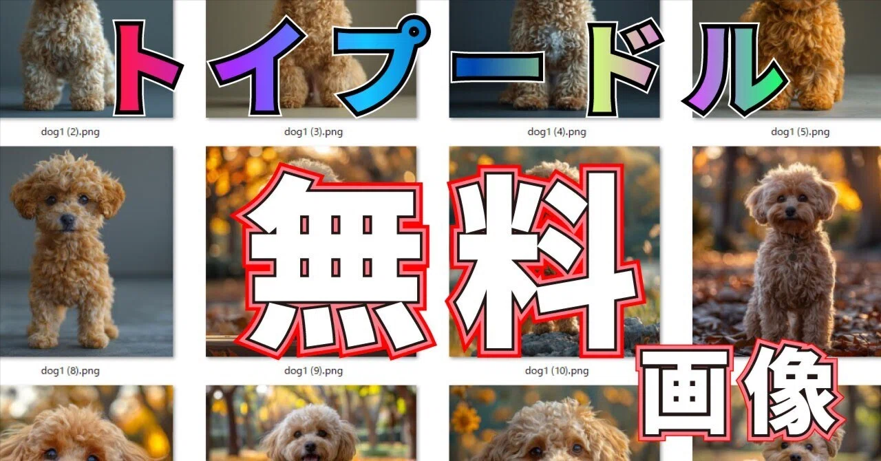 stプードル様 リクエスト 4点 まとめ商品プードル様 stプードル様 リクエスト 4点 まとめ商品プードル様