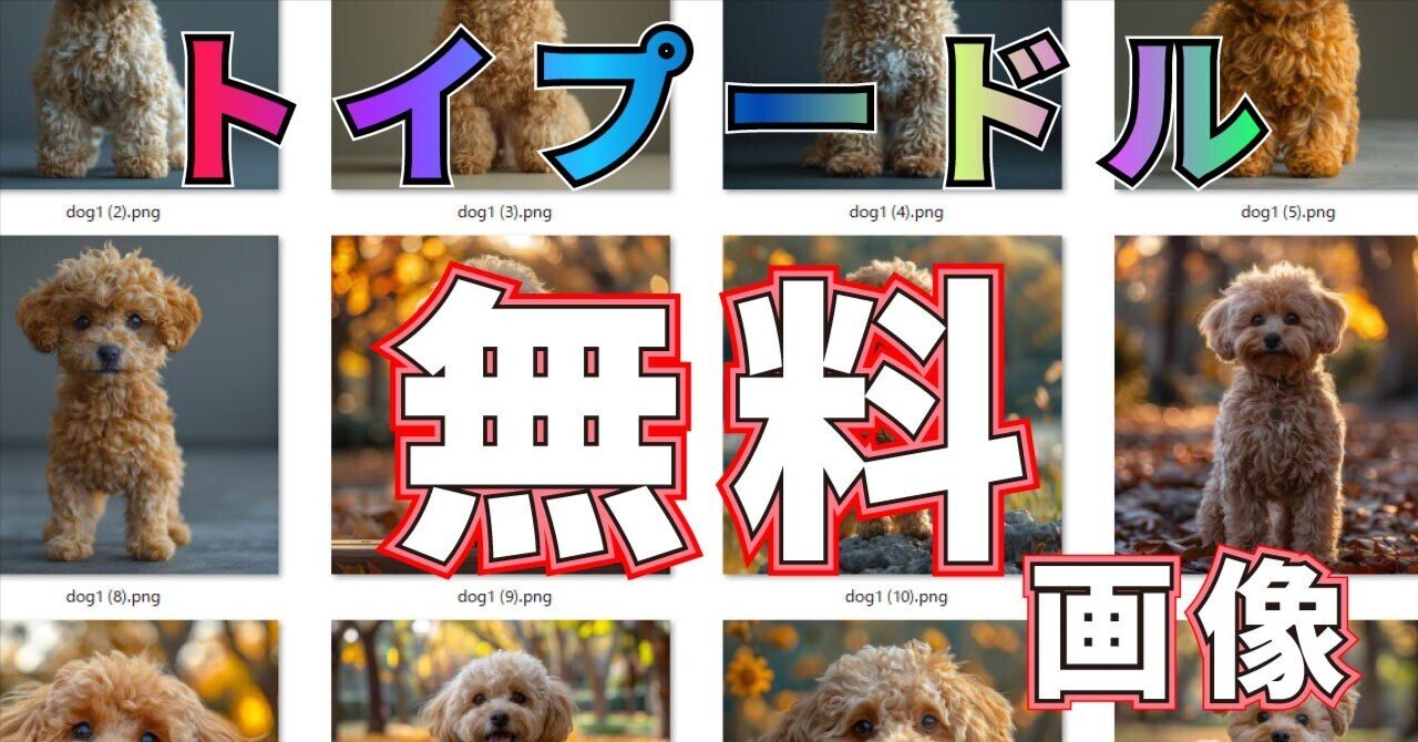 プードル様 リクエスト 5点 まとめ商品 トイプードル様 リクエスト 5点 まとめ商品 プードル様 リクエスト 5点