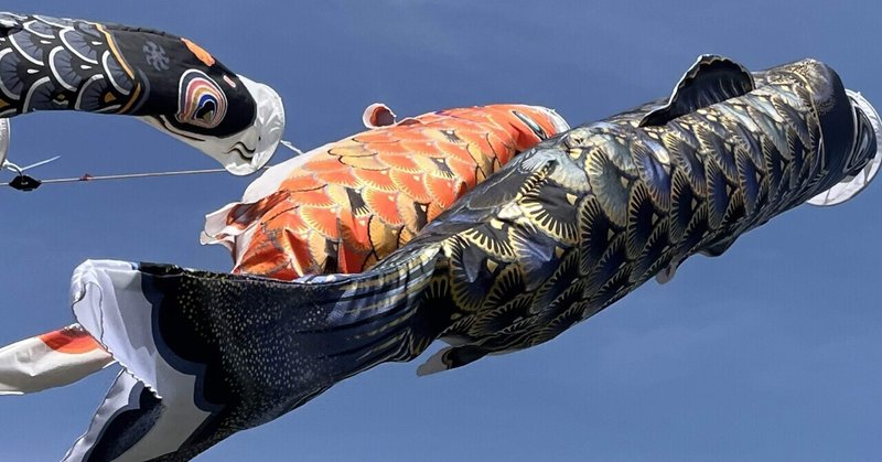 🛵🎏日本のヘソで大漁だ〜❕しかもデカい❣️📚