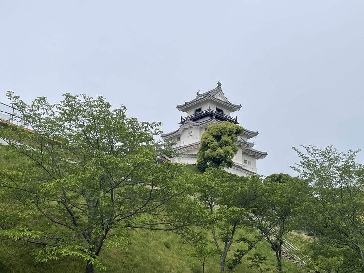 前回はコロナ禍で入れなかった掛川城に再チャレンジ🥴