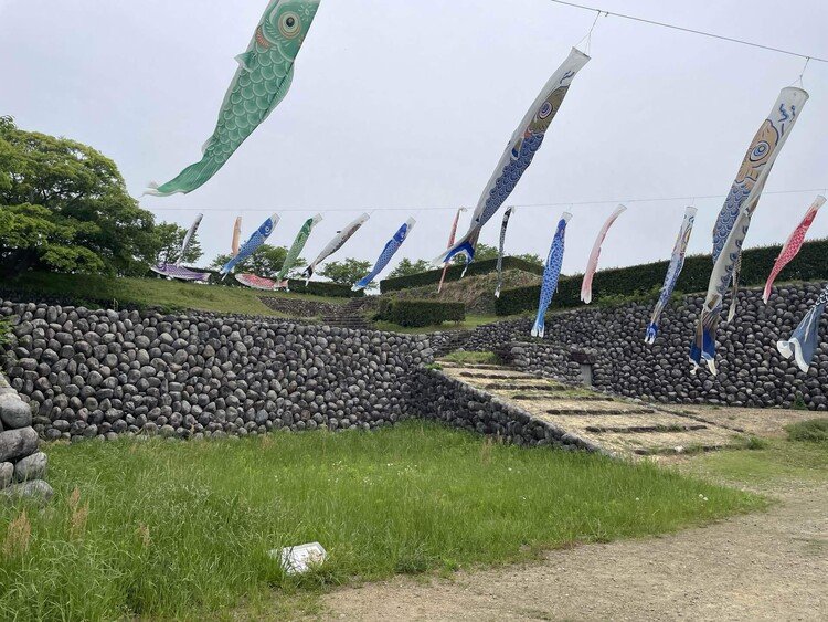 静岡県掛川市横須賀にある横須賀城址(^-^) 米軍で有名な横須賀ではないです(ﾟ∀ﾟ)