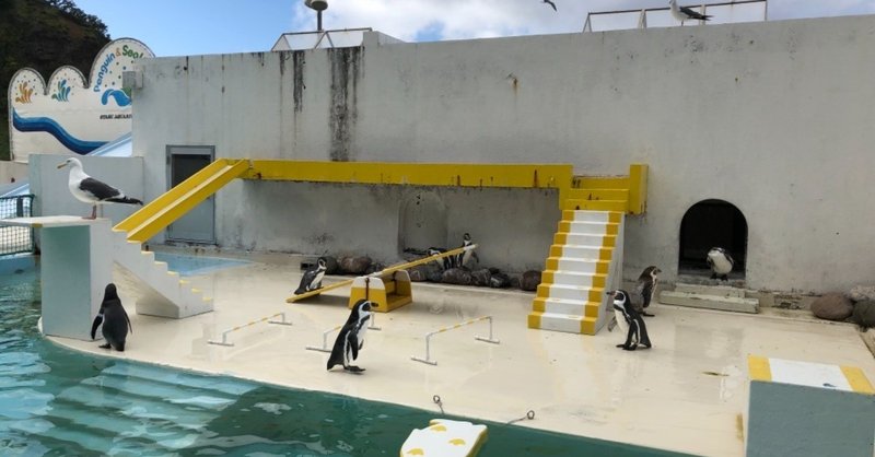 おたる水族館の言うことを聞かないペンギンショーを見に行ってみた Nagisa Note