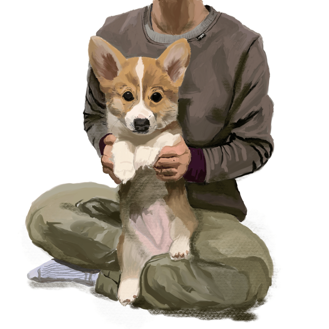 飼い犬コーギーの赤ちゃんのときのイラスト描きました！｜マツオ