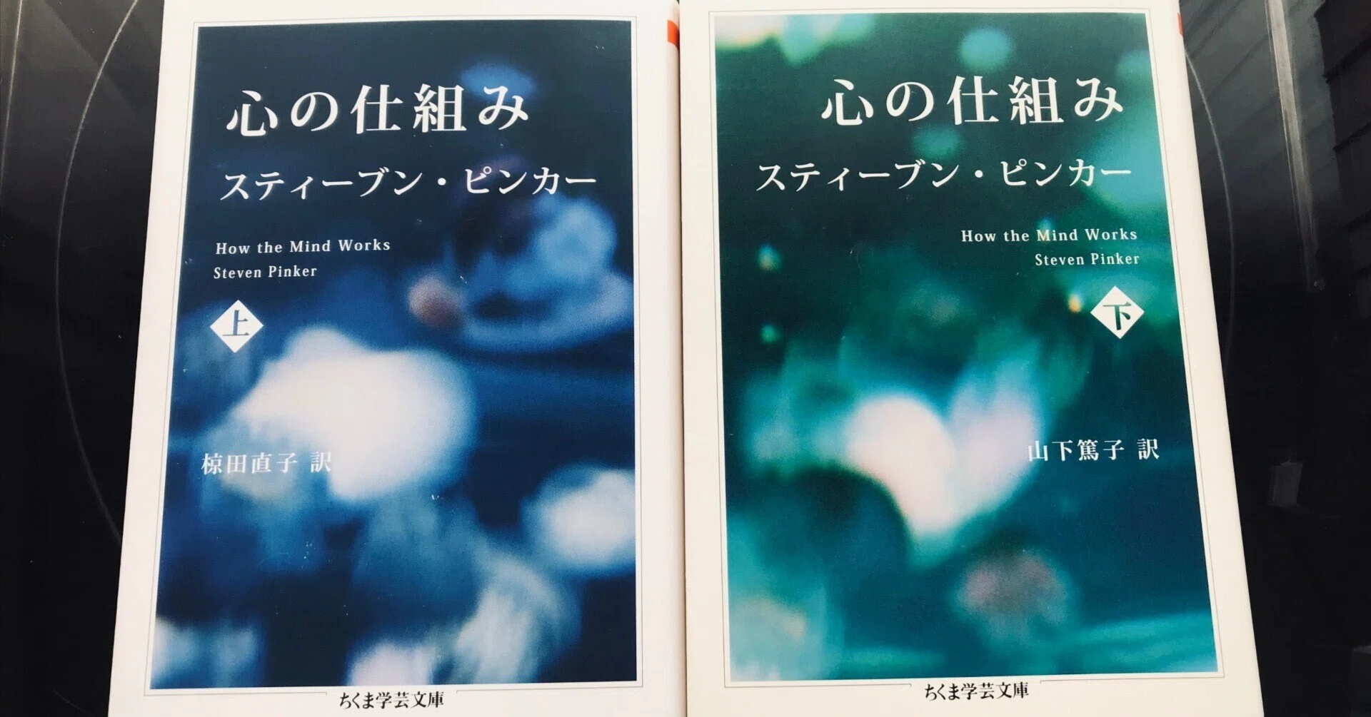 書評『心の仕組み』スティーブン・ピンカー｜キップル（佐藤 凜）