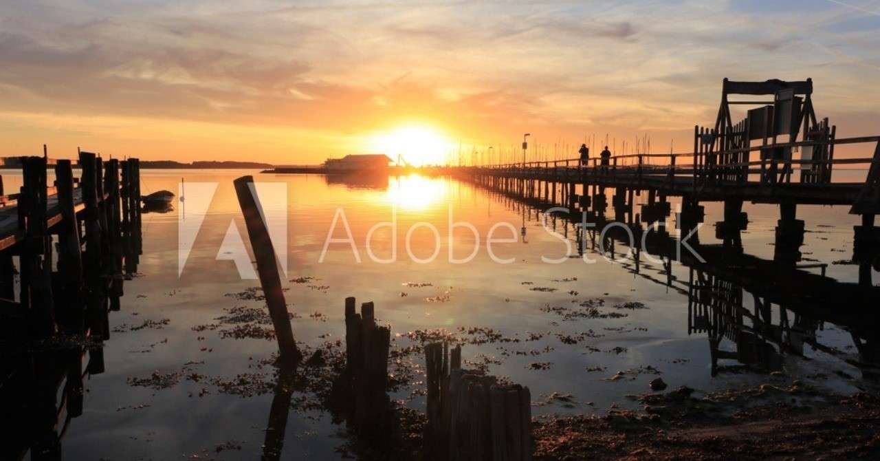 AdobeStock_208583179_Preview小説才能