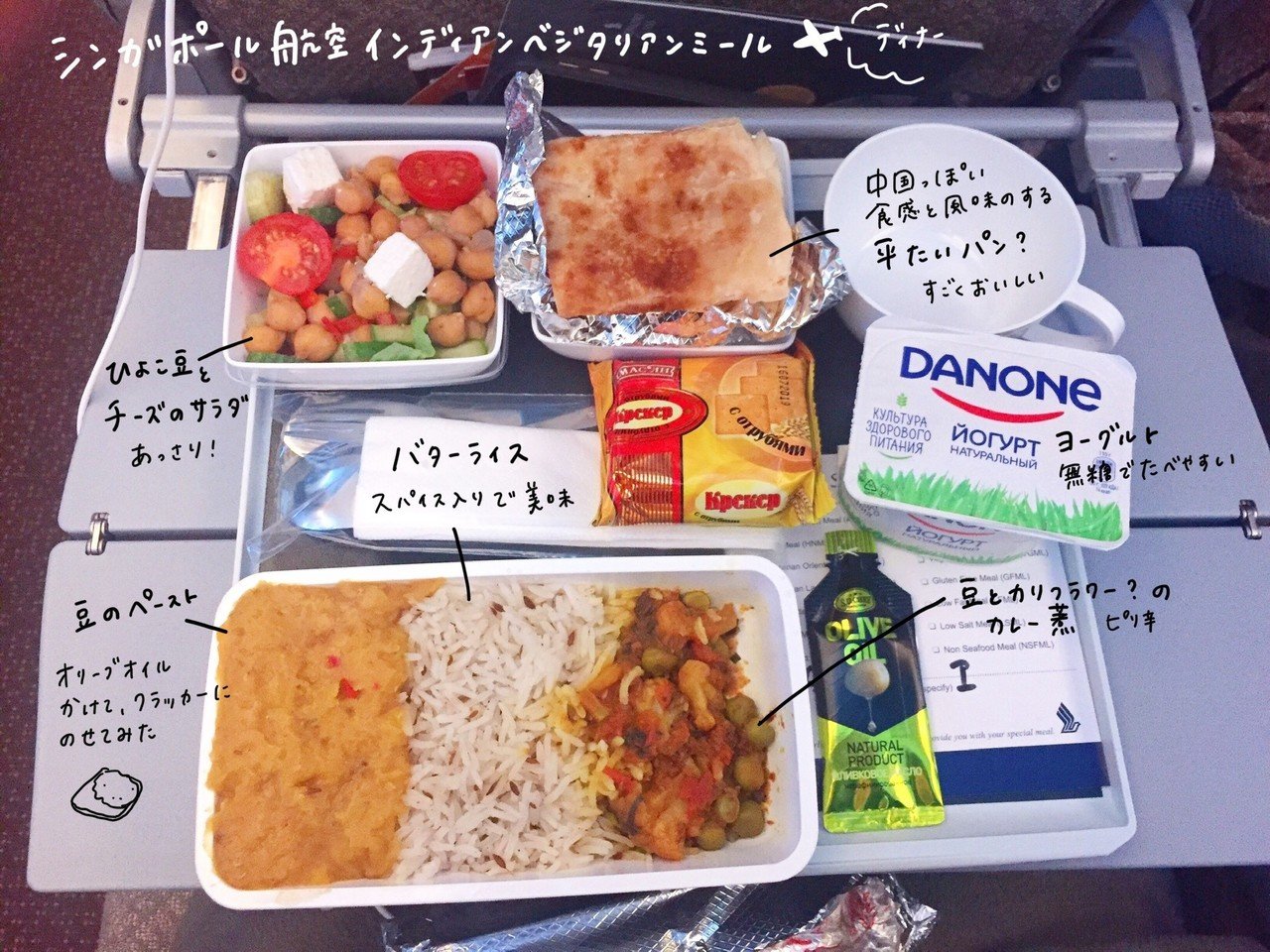 ベジタリアン機内食で軽やかにはじめる旅｜mochi