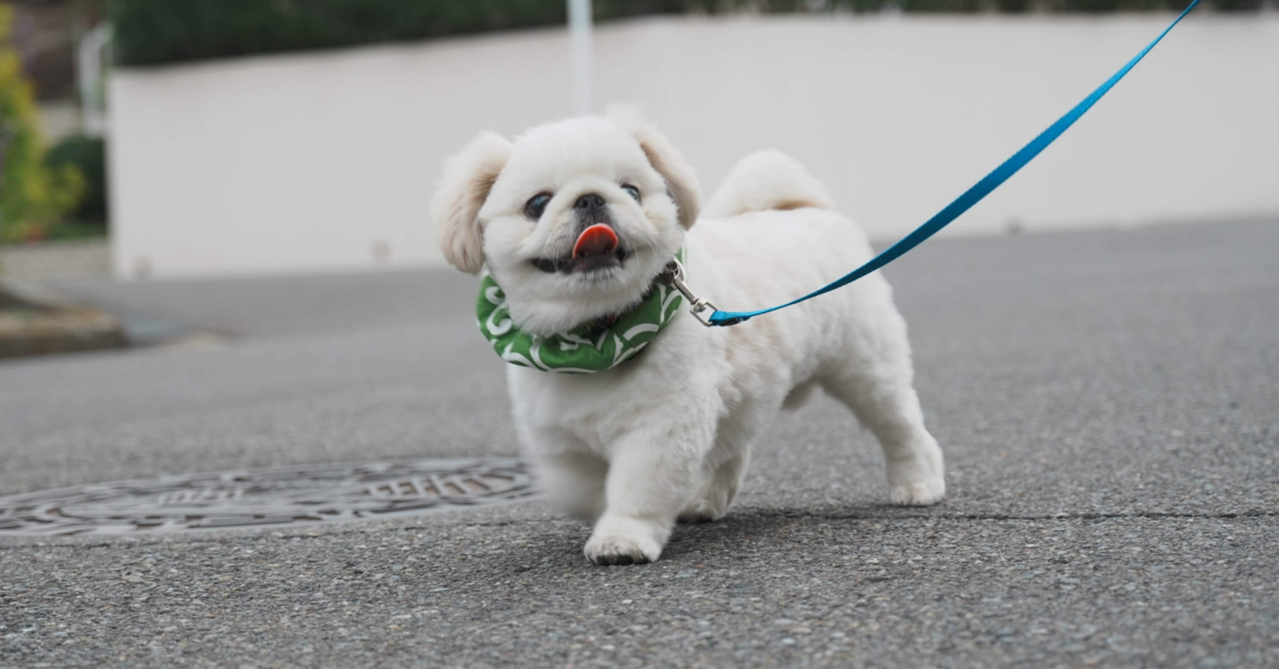 2797c76daa1a7474dad7529243fae7