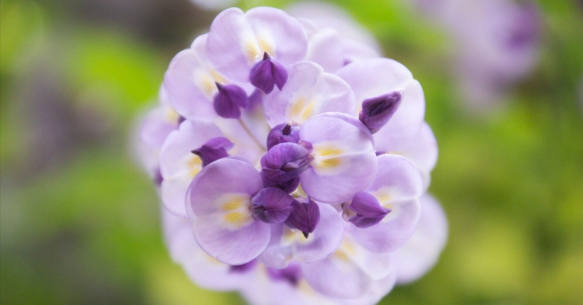 No.15 紫小花のふかふか花びらスタイ♡ No.15 紫小花のふかふか花びら