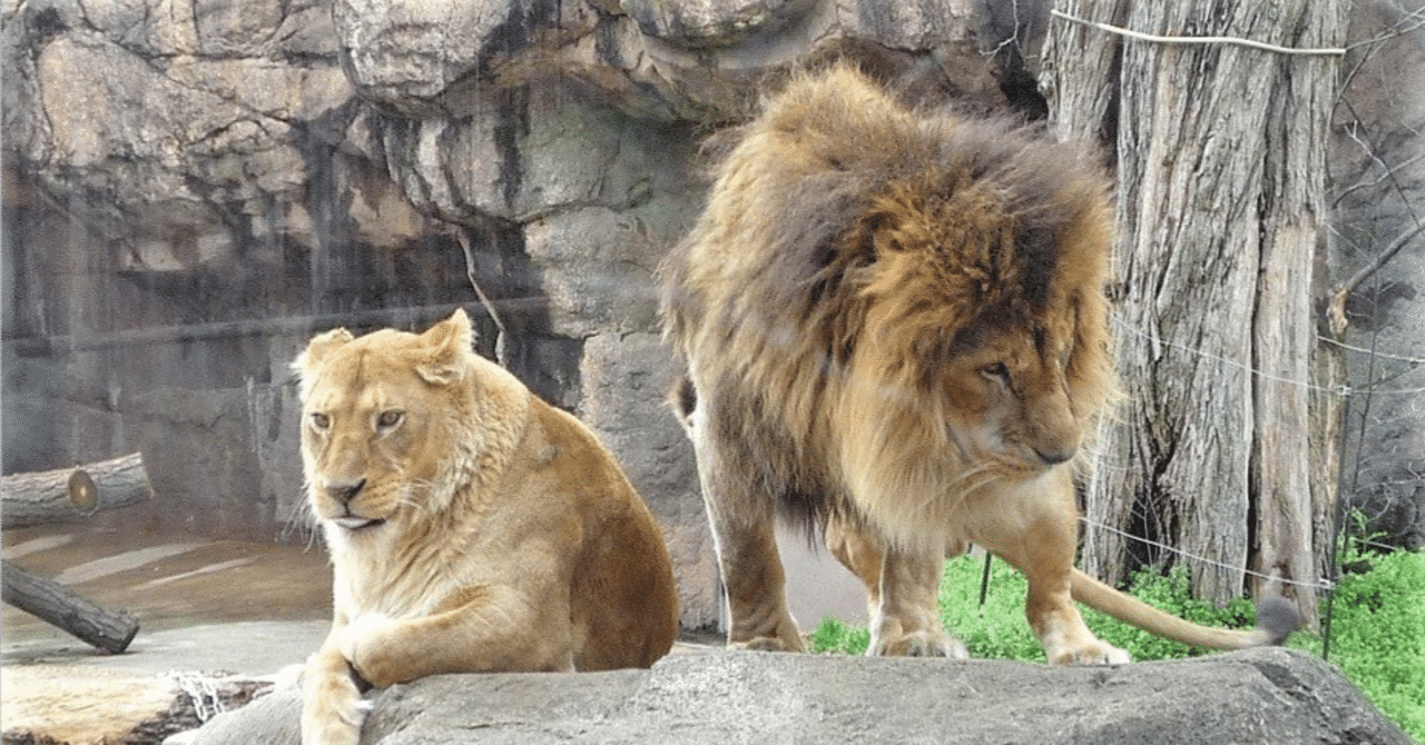 人間及び動物の表情 Amazon.co.jp: 人及び動物の表情について : ダーウィン