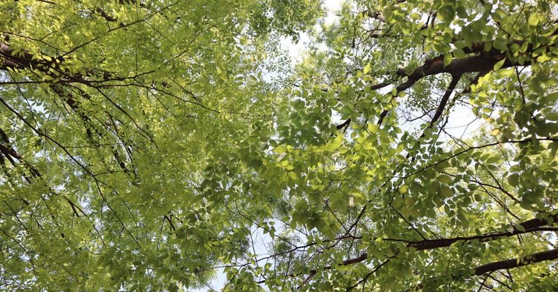 ミニマリストの団地暮らし｜4月の暮らし〜桜から緑へ、創作、物の見直し