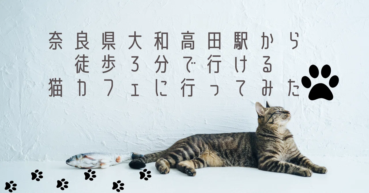 大和 高田 猫 カフェ