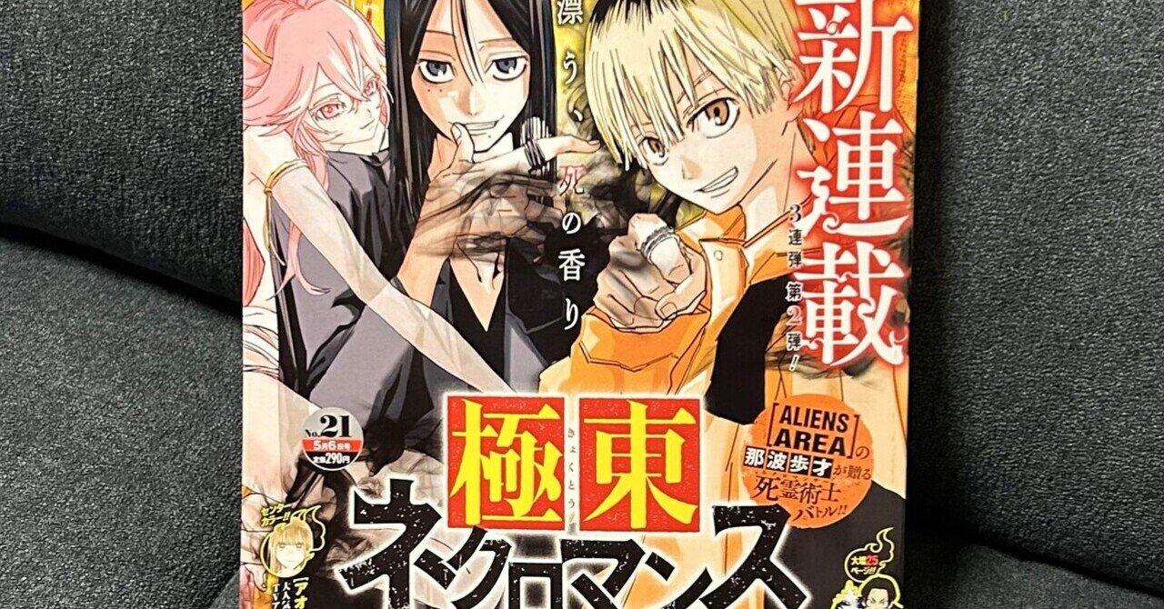 週刊少年ジャンプ2018年14号呪術廻戦新連載号 神々しい