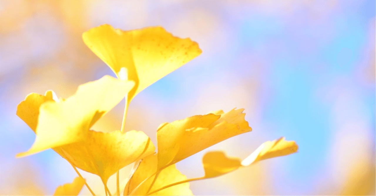 イチョウの花を発見〜意外と知らない植物〜｜鈴木淳