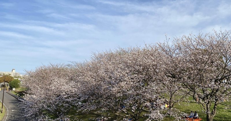 写真で振り返る4月