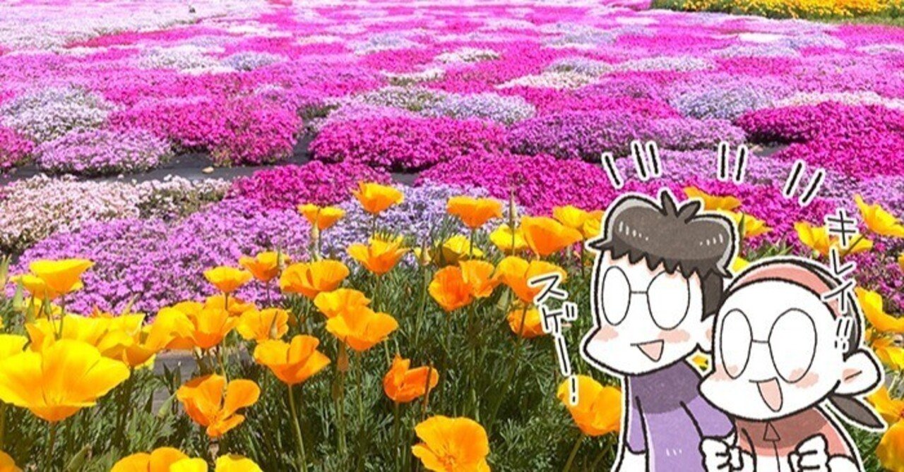 芝桜　ロミオ様ご確認用です♪ 芝桜（しあわせの森公園）／葛城市