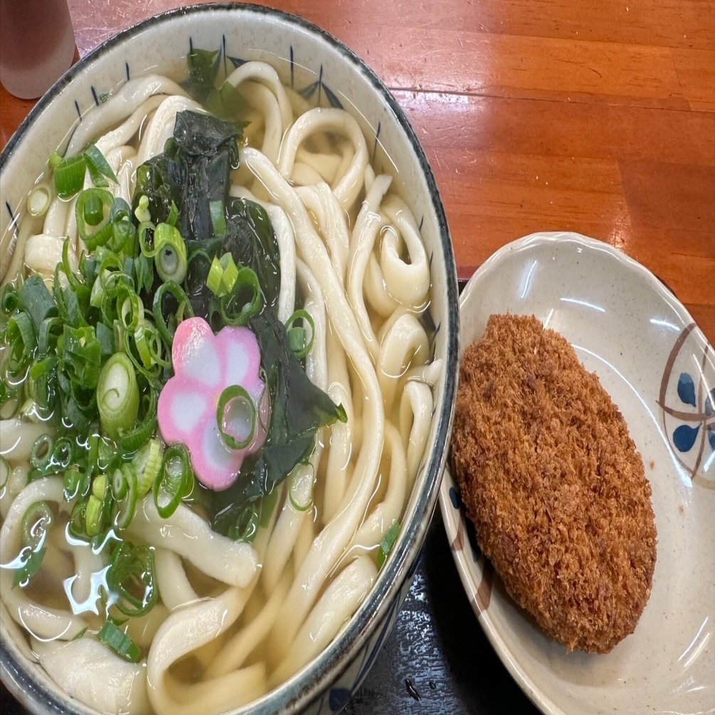 うどんページ 楽天市場】関西風おいしいうどんだし 10人前＆讃岐細うどん 乾麺 6人前