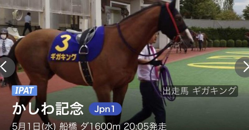 🔹11 地方競馬で儲ける【5/1 かしわ記念】