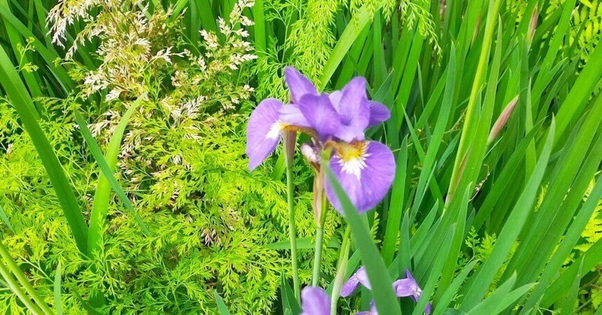 シン・短歌レッス132｜やどかり