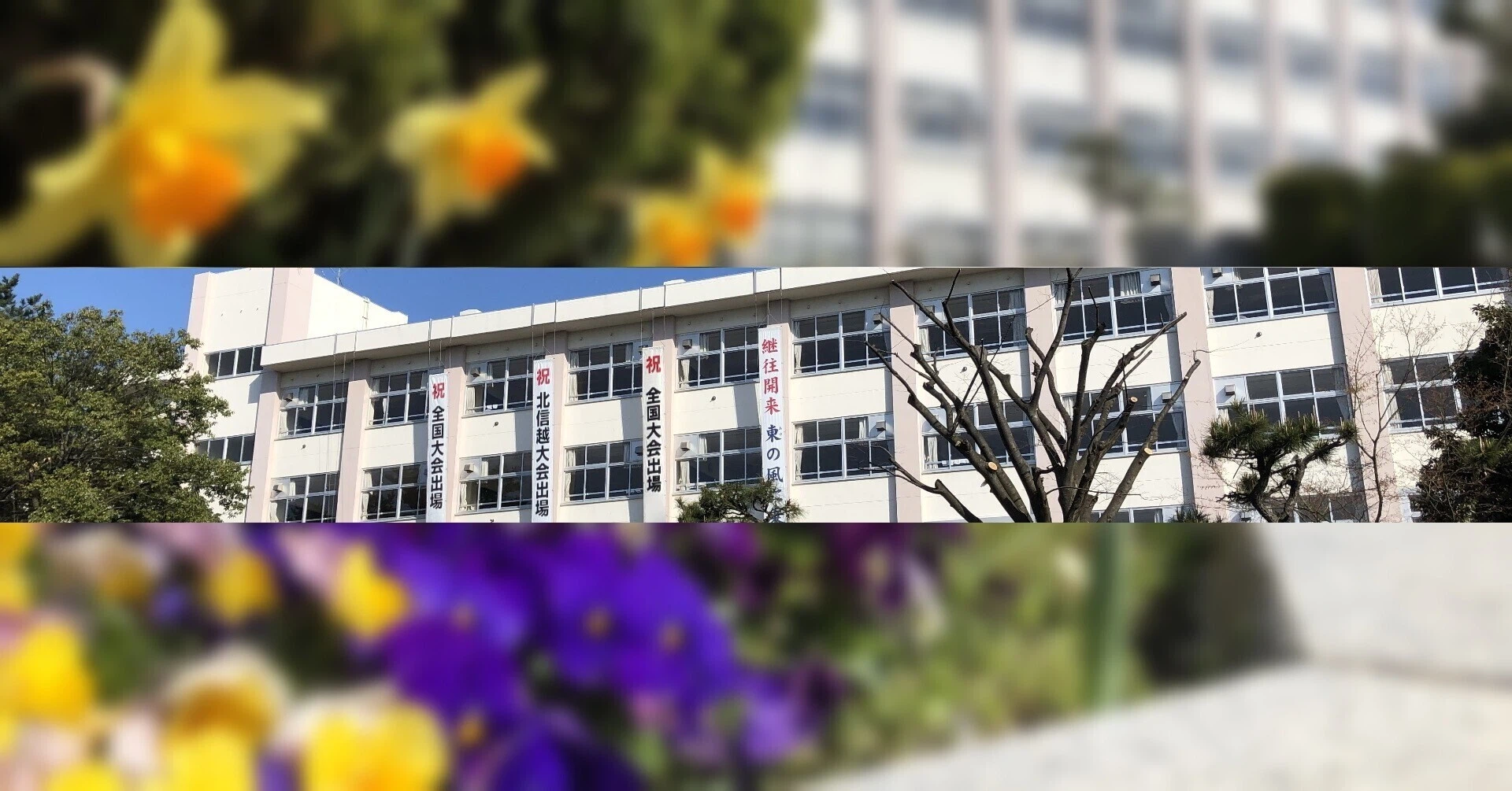 公の場での発言・インタビュー報道記録