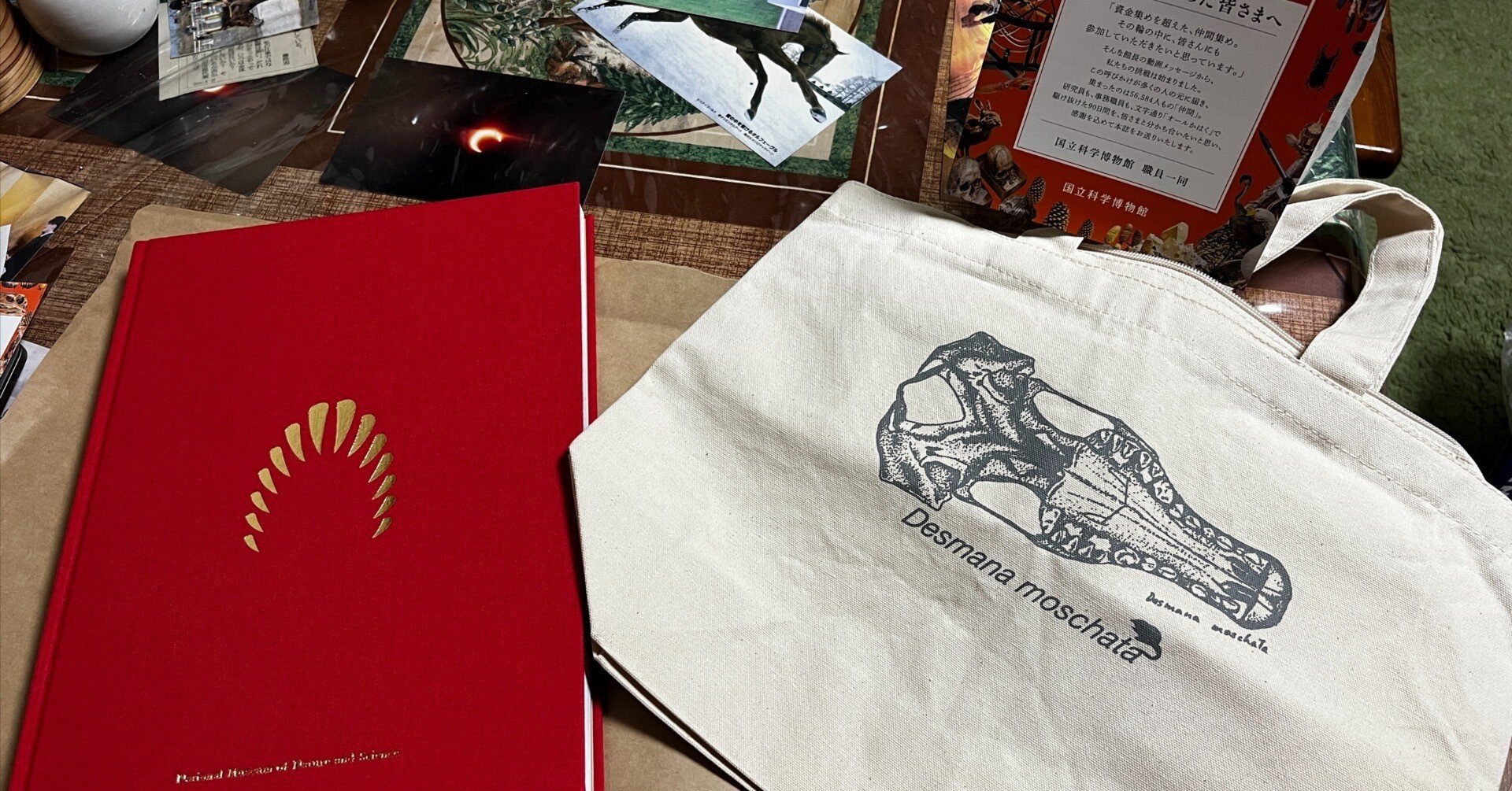 国立科学博物館　返礼品 efa419d3749a637a6ffde3f3b4661e