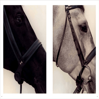 入手困難な、エルメスの職人インタビュー作品と写真集にふれ、ブランド