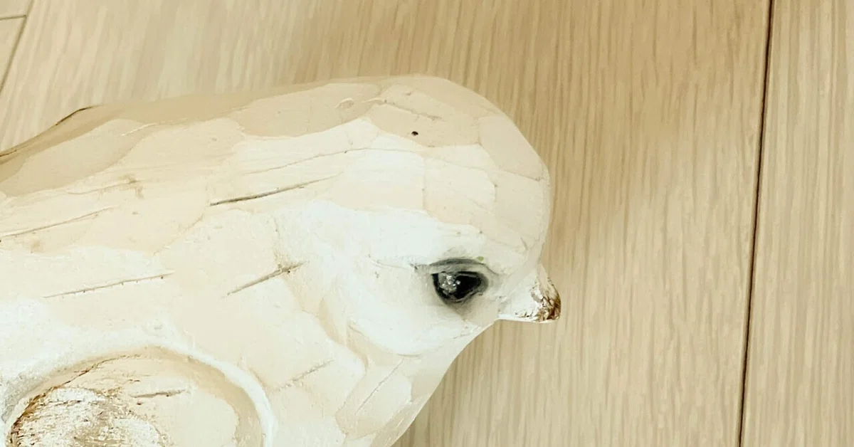 èŠåºãç»å