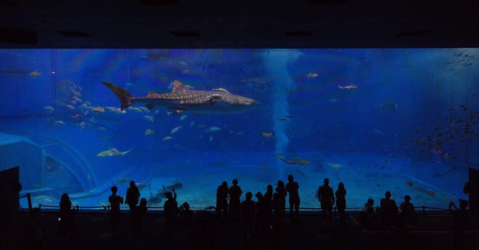 cee0bd27dc3a8d56d962b96b4aa73c