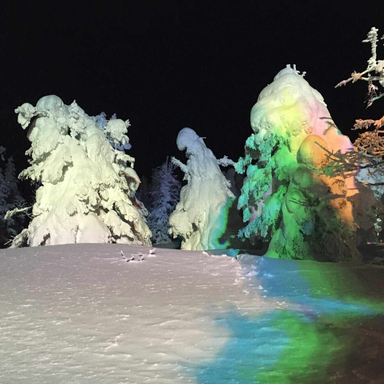 2025年2月書評王（芥川心之介） 『DTOPIA』 安堂ホセ著 ｜山形小説家