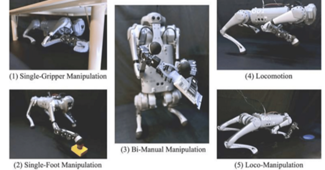 ロボットみたいなエンマコガネ maxresdefault.jpg