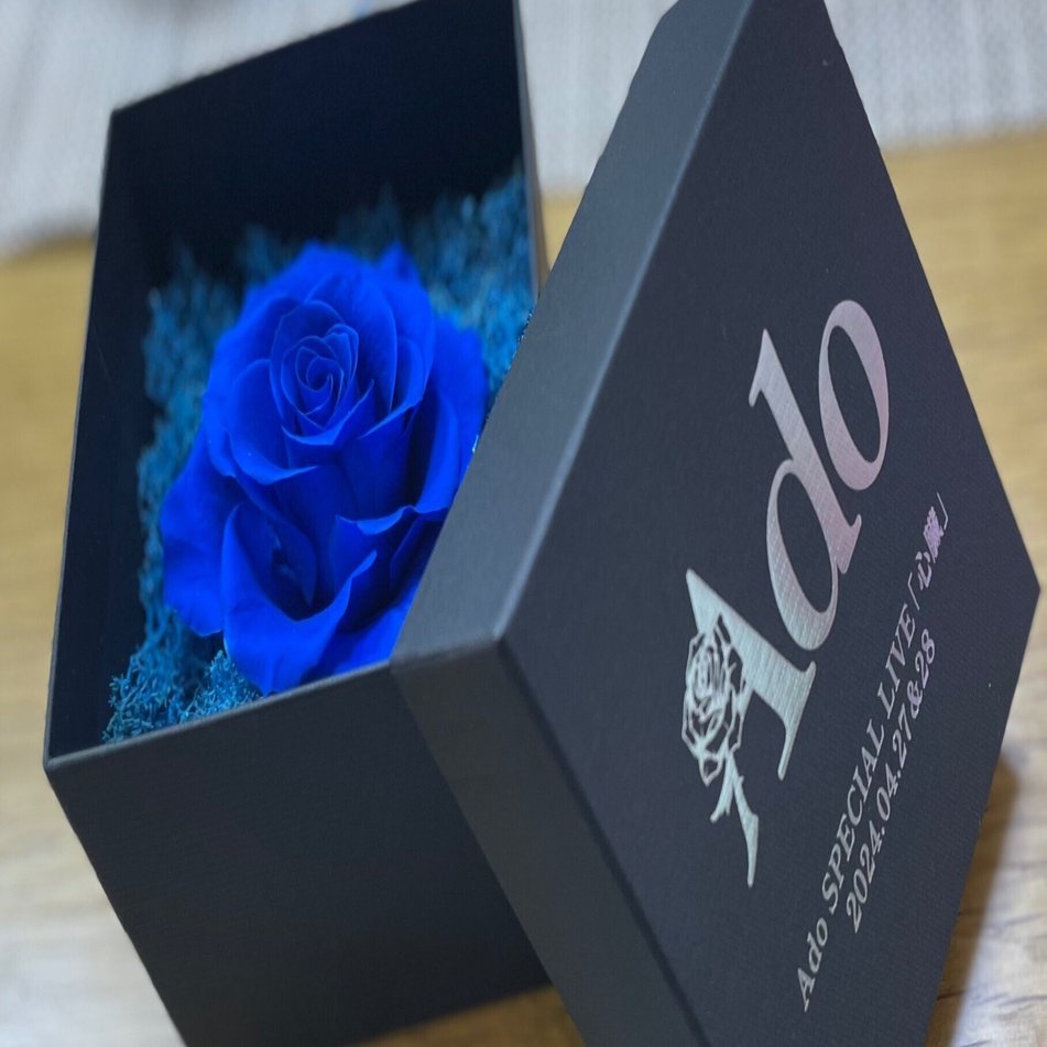 今日の出来事#23「Adoの『心臓』を観てきました」｜真姫伝みみ