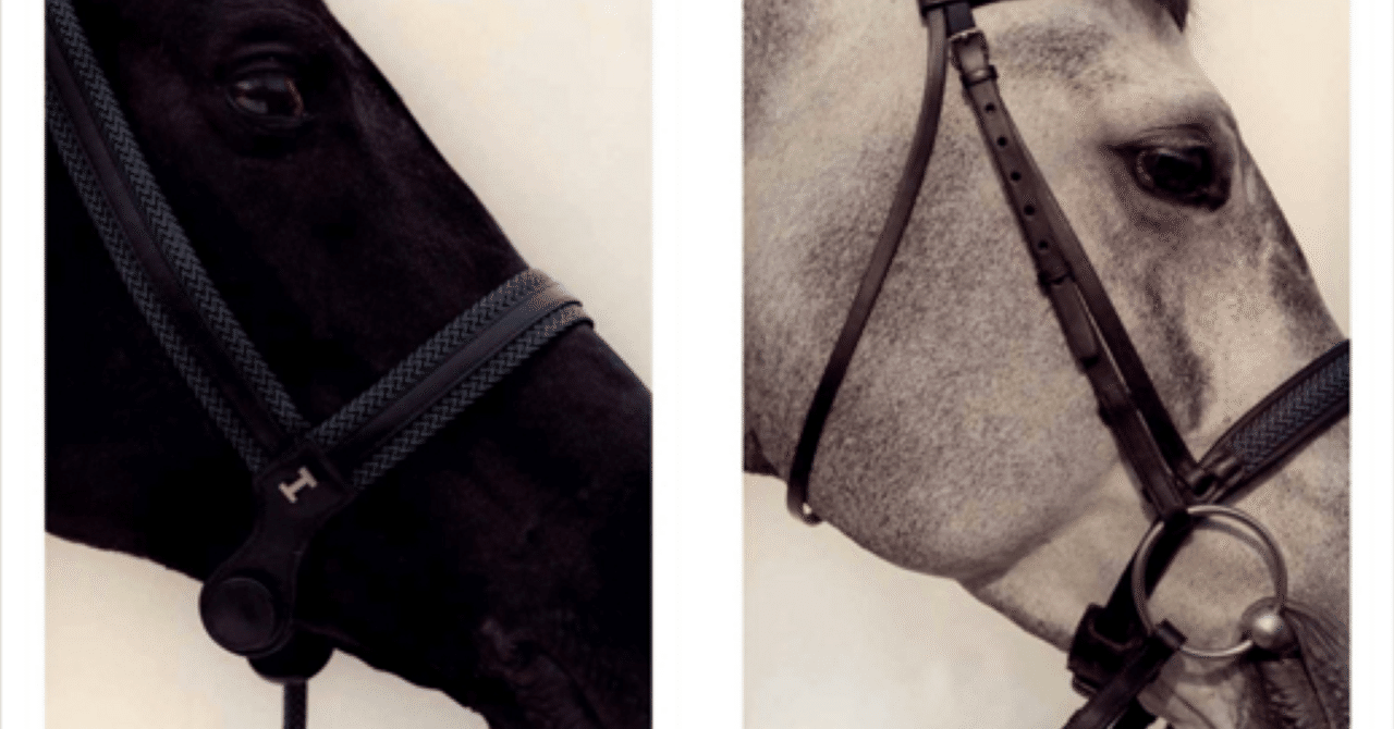 入手困難な、エルメスの職人インタビュー作品と写真集にふれ、ブランド