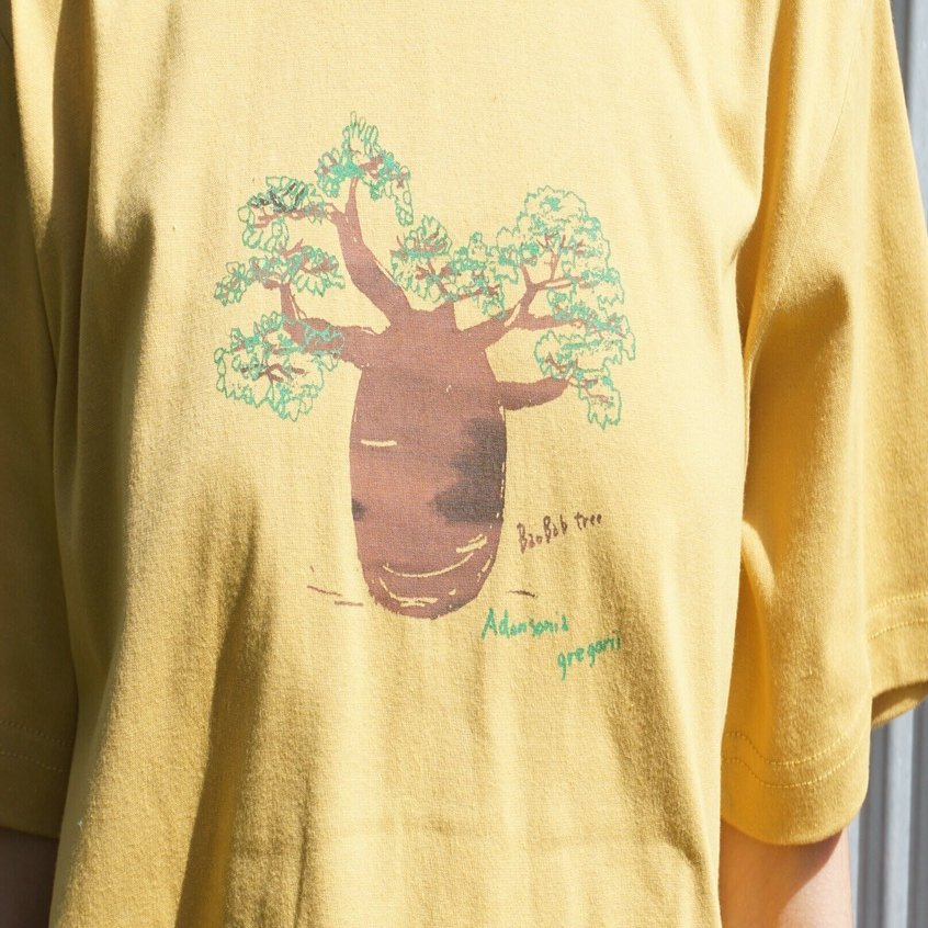 日本で会えるバオバブたち｜バオバブ堂