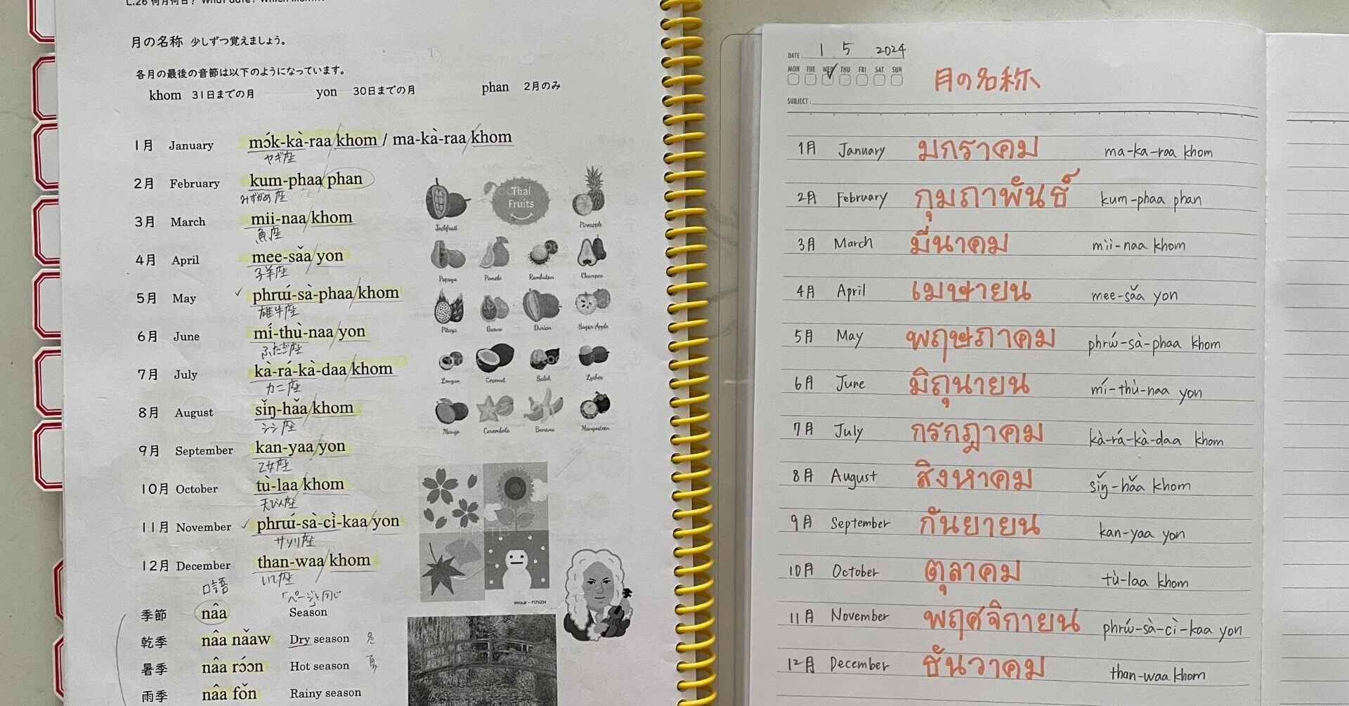 人気の新作 キクタンタイ語 autumns タイ語 千秋 thoudand 人気の新作 キクタンタイ語 autumns タイ語 千秋 thoudand