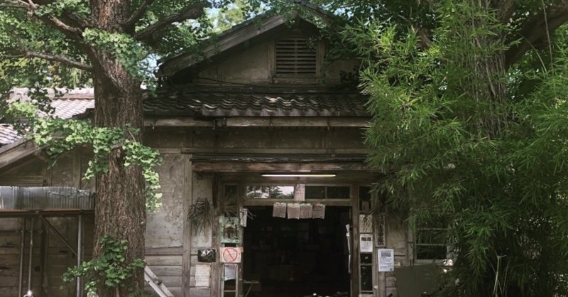 見えない壁と闘う若者たちを描く名作 ワンダーウォール が映画化 大森葉子 編集者 note