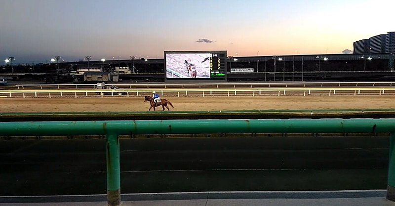 船橋競馬【🔥勝負レース🏇👊🔥】5/2（木）【8R】馬い！菊池ごぼう記念（発走時刻18:15）