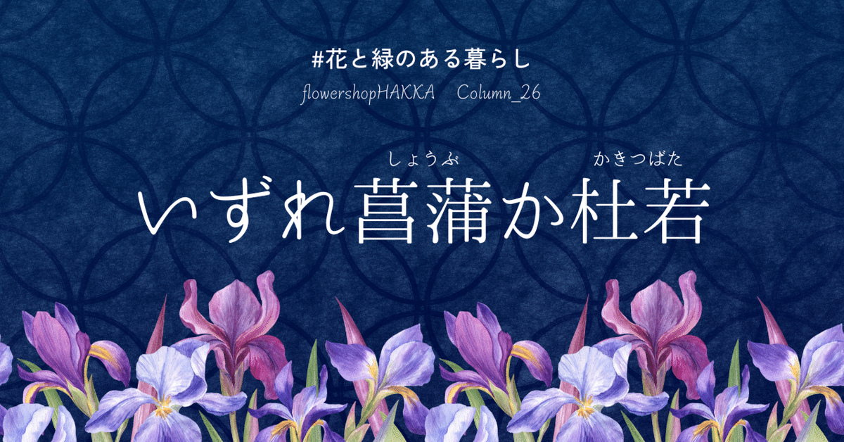 古伊万里　皿　かきつばた　燕子花　杜若　アヤメ　アイリス　水仙　江戸　訳あり Amazon | 林九郎窯 古伊万里 様式 金彩間取菊紋 楕円皿 取皿