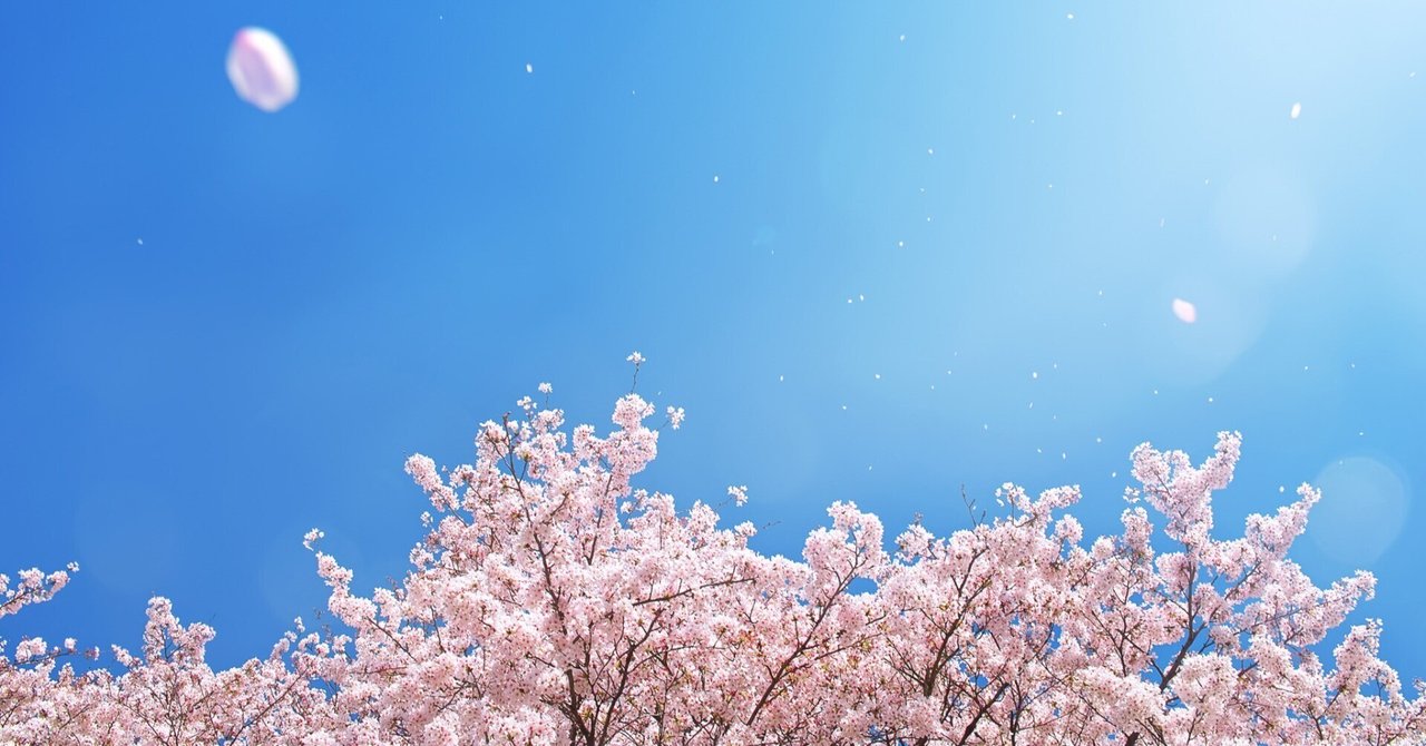 桜舞い散る愛おしき日常 SEC サイン