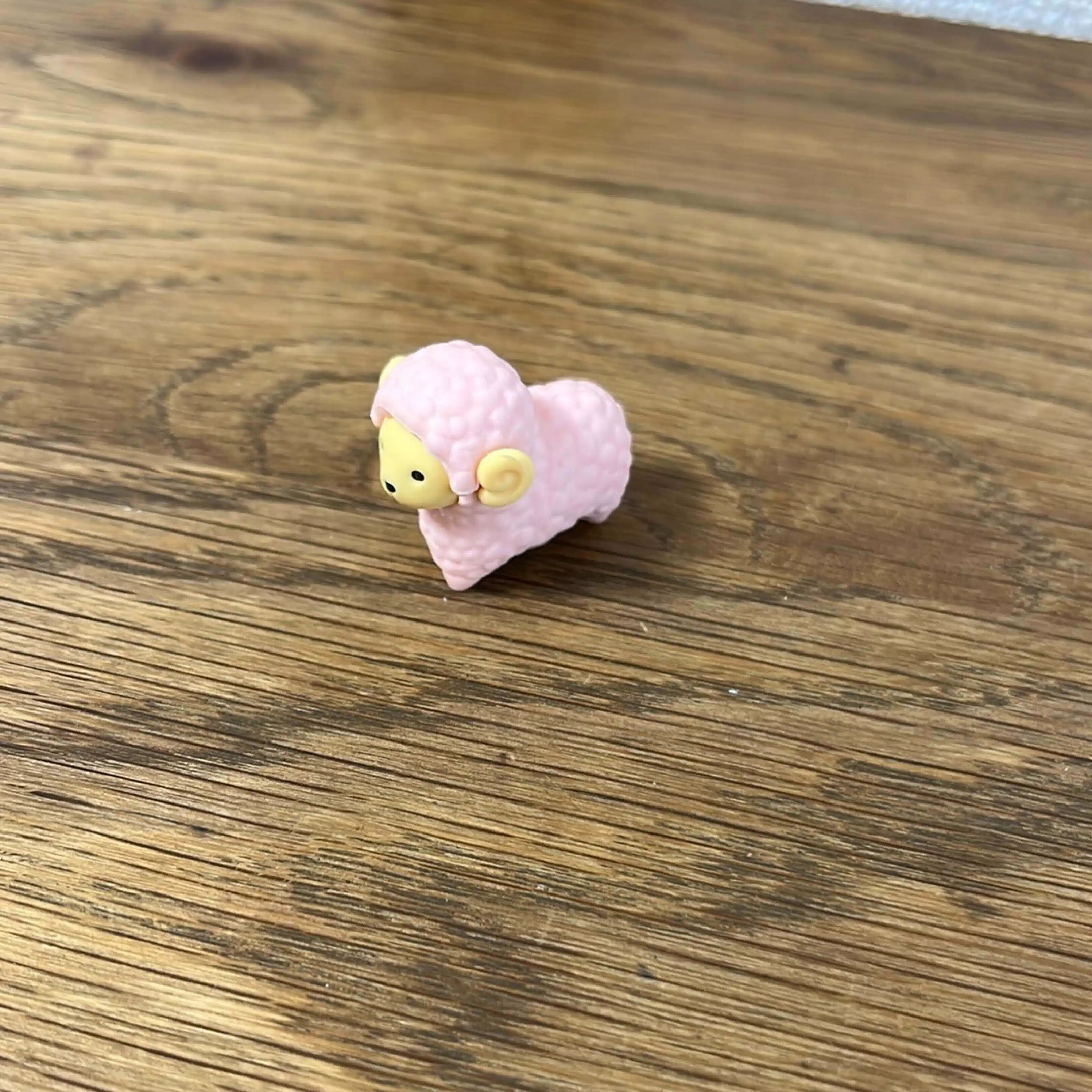 マサカカオルコ