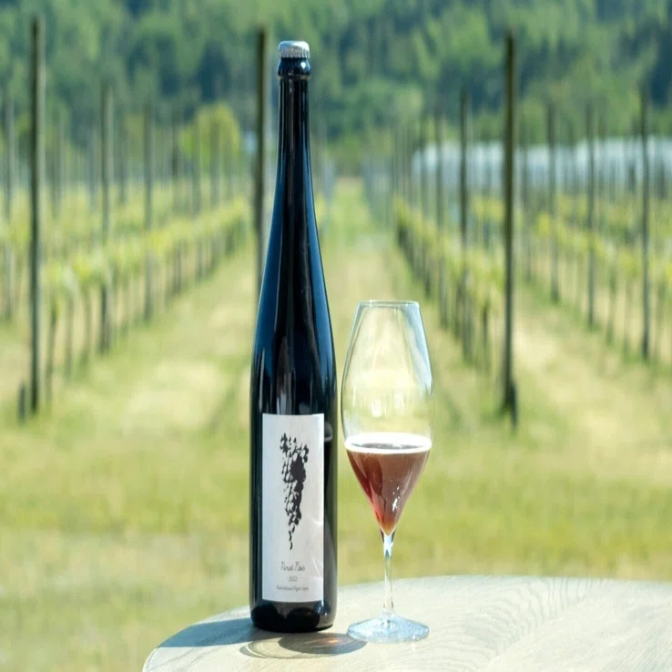 CROIX Pinot Noir 2022リリースです！｜RyuseiKusano
