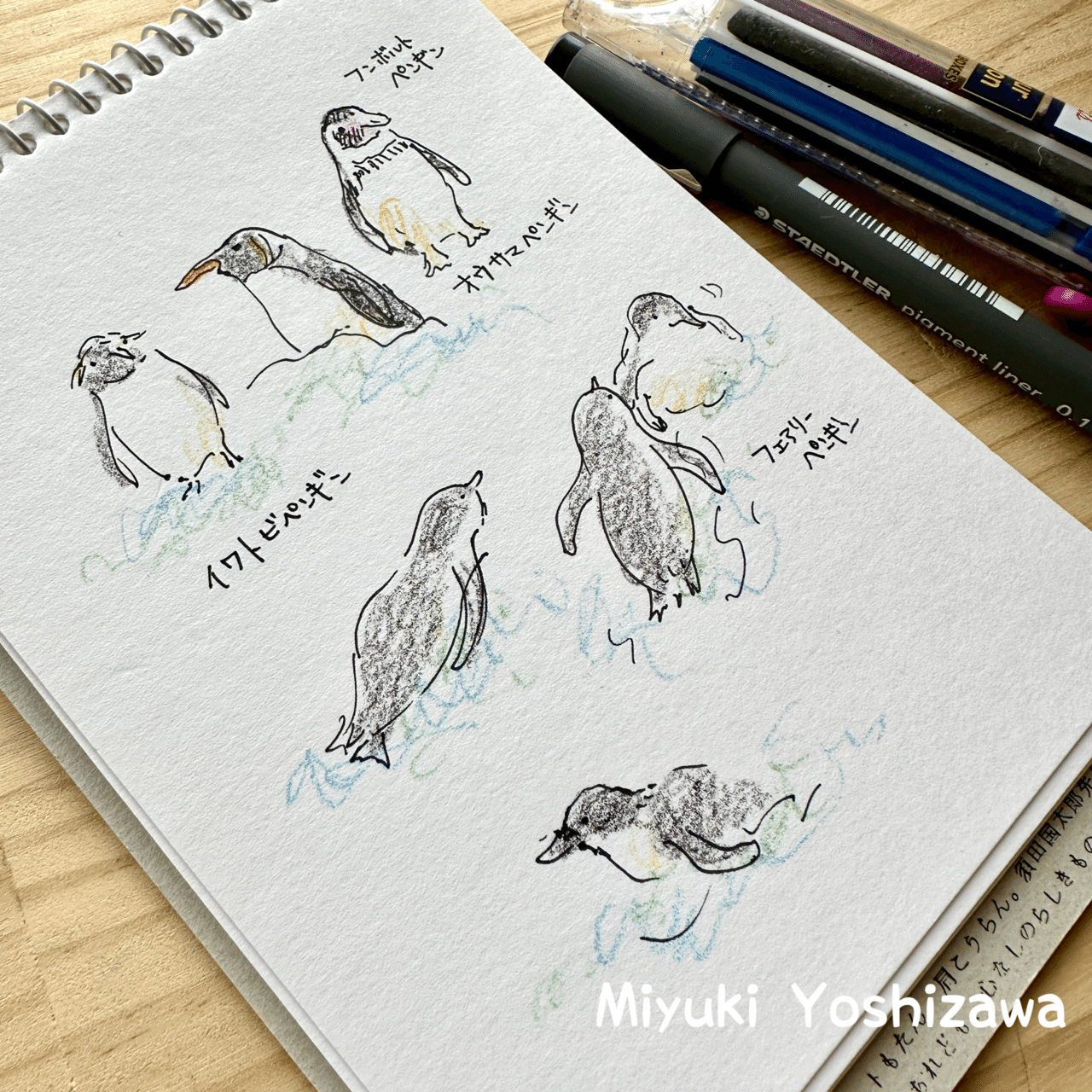 お散歩ペンギンスケッチやるよ｜吉沢深雪