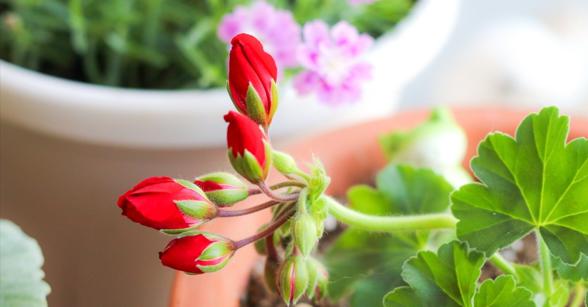 9dc6a50083b2541f12e7eb3eebb2bd