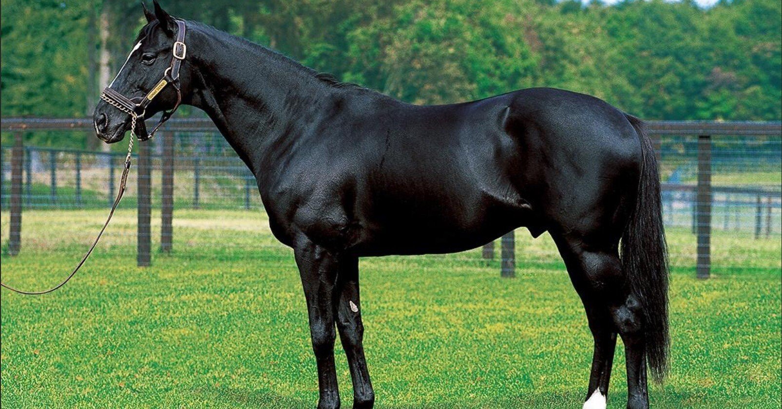 91a4d49cee0f11f409f5527ccf9139