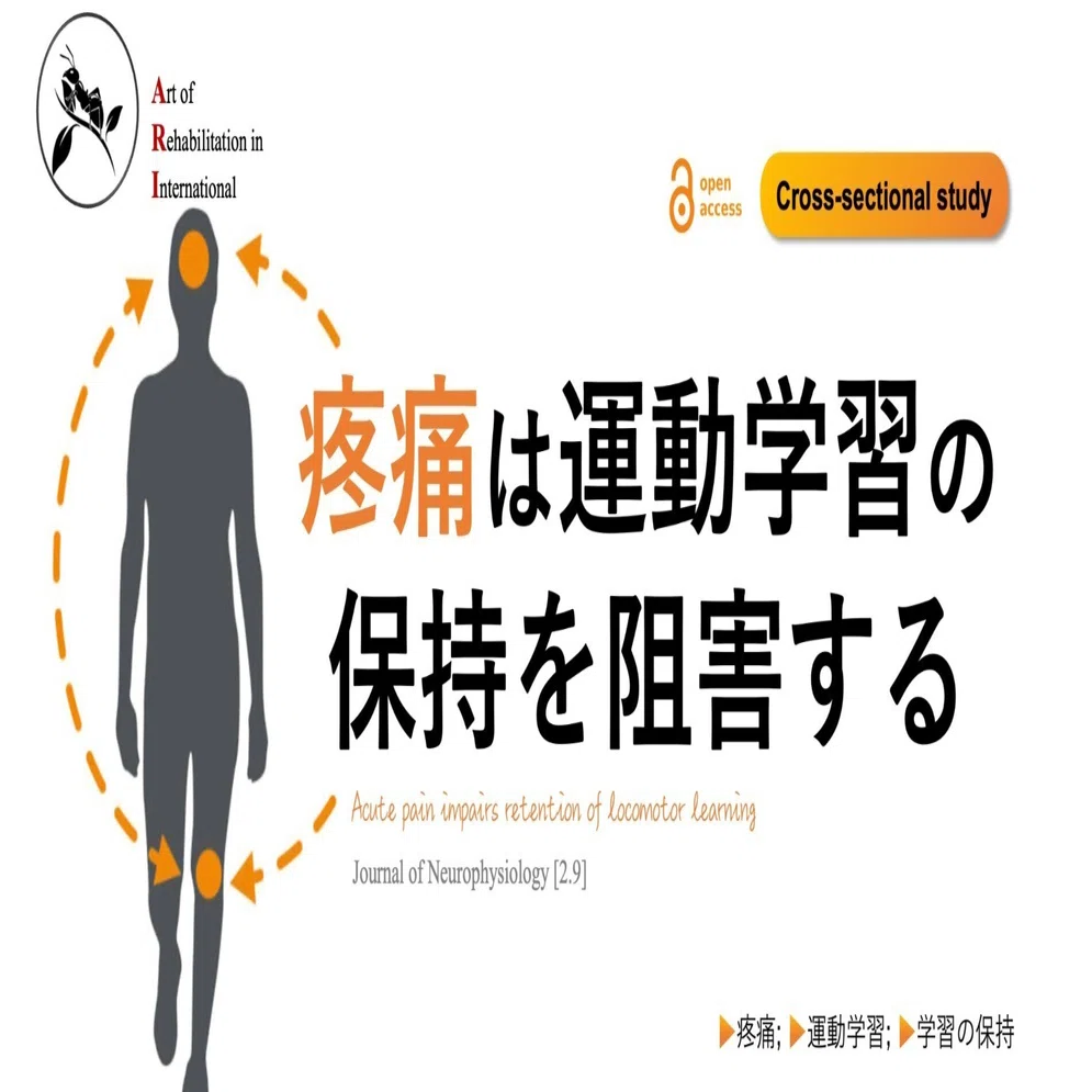 疼痛は運動学習の保持を阻害する｜Super Human | 理学療法士／保健学