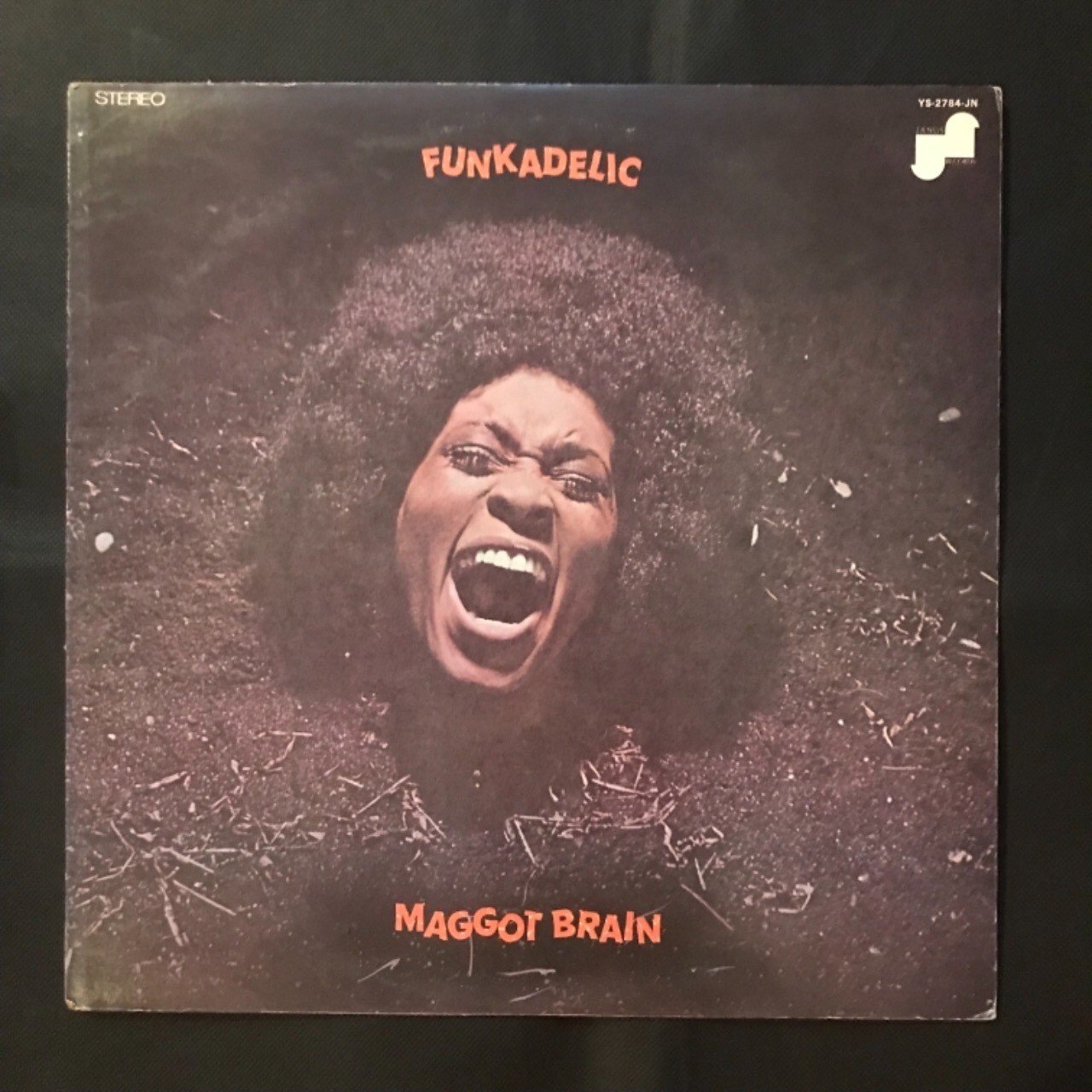 ファンカデリック MAGGOT BRAIN｜shinchang sakamoto