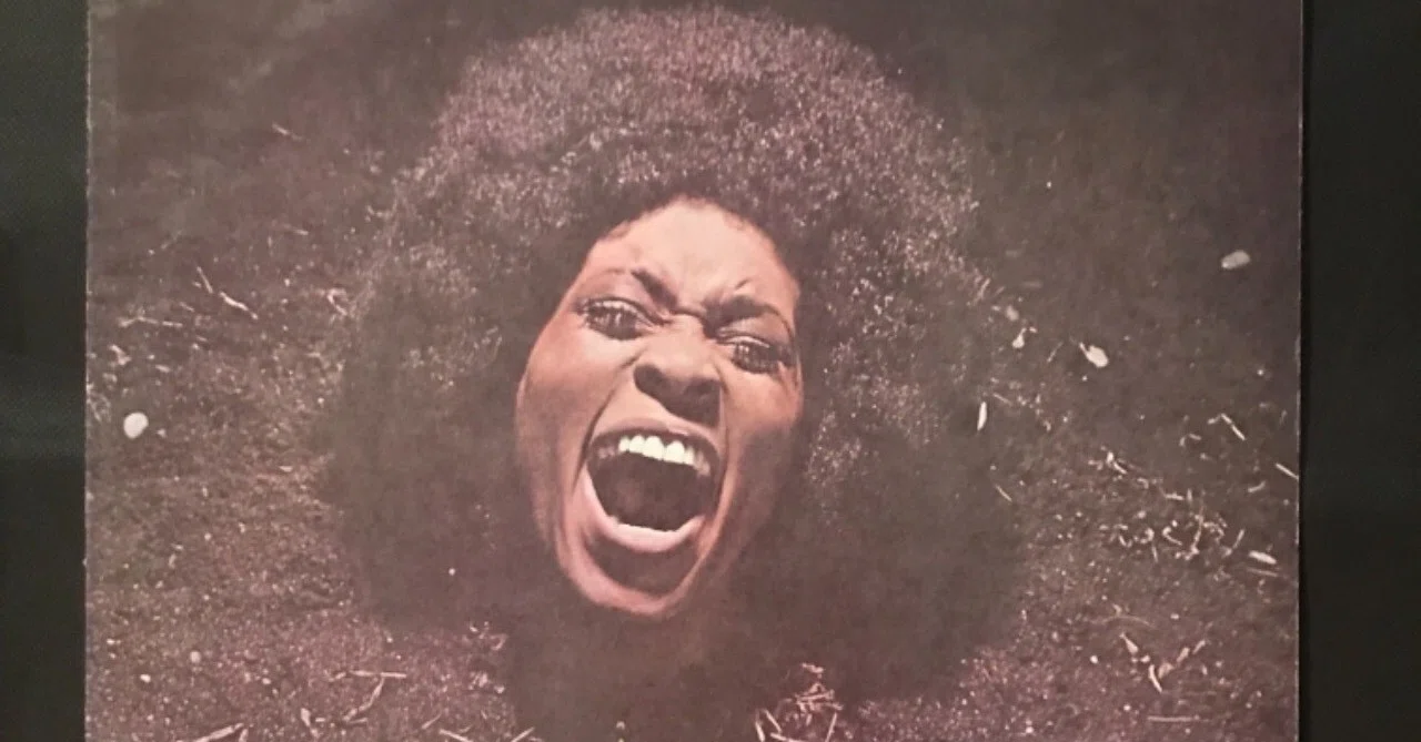 ファンカデリック MAGGOT BRAIN｜shinchang sakamoto