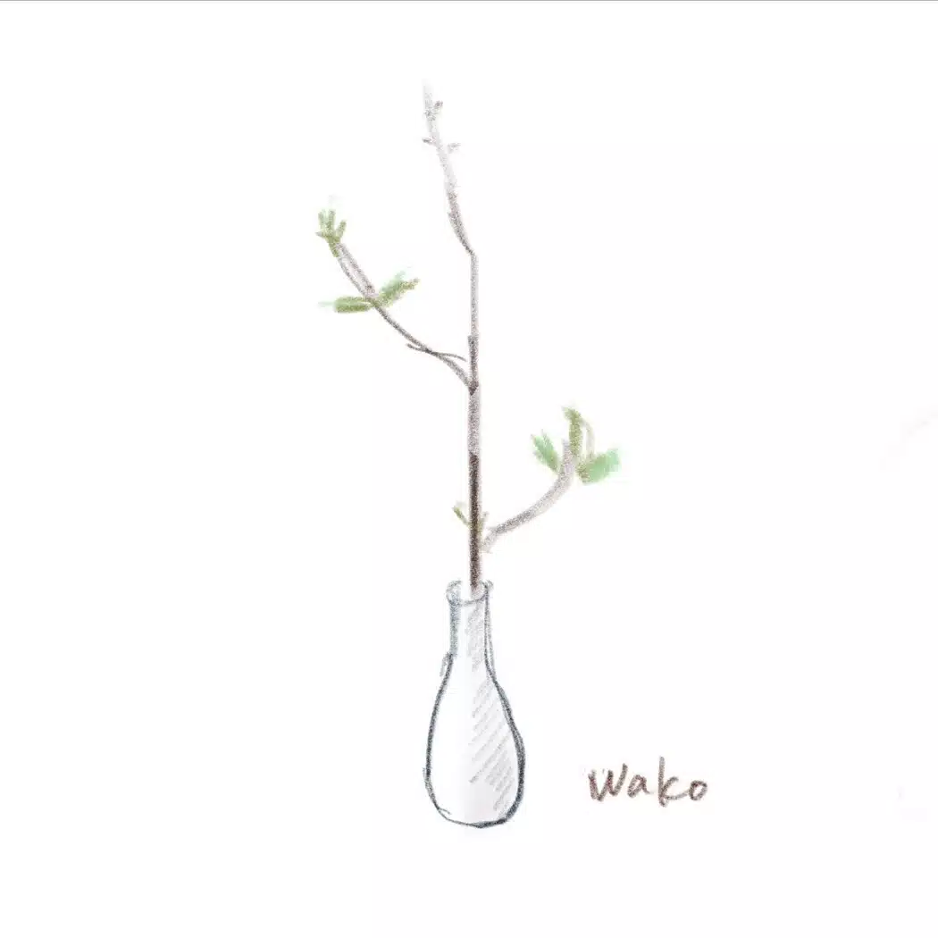 わこ(Wako)