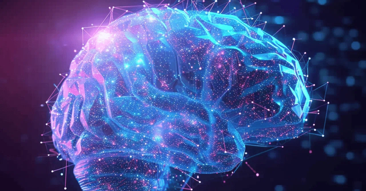 The Wonders of the Brain! Effective Methods for Memory!｜Shirokuma90