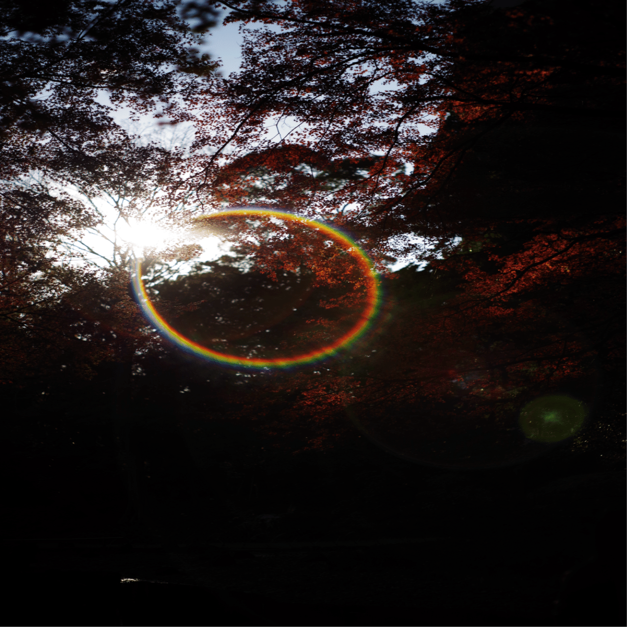 【虹色フレア】 後期型 Super Takumar 55mm F1.8 Y137 虹色フレア】 後期型 Super Takumar 55mm F1.8 Y137