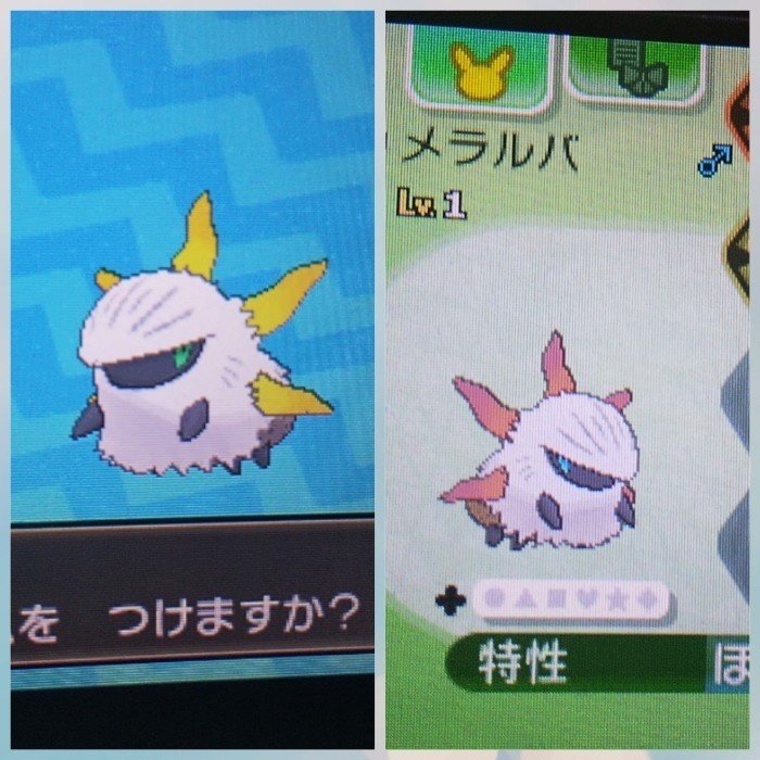 ポケモンsmで国際孵化をしてみた話 1 そらこ Note